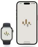 oticon-companion